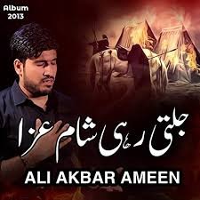 Ali Akbar Ameen