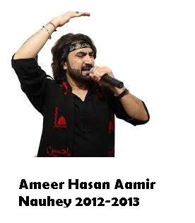 Ameer Hasan Aamir